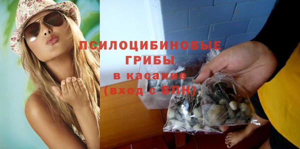 шишки Новокубанск