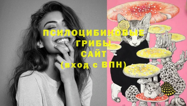 герыч Новодвинск