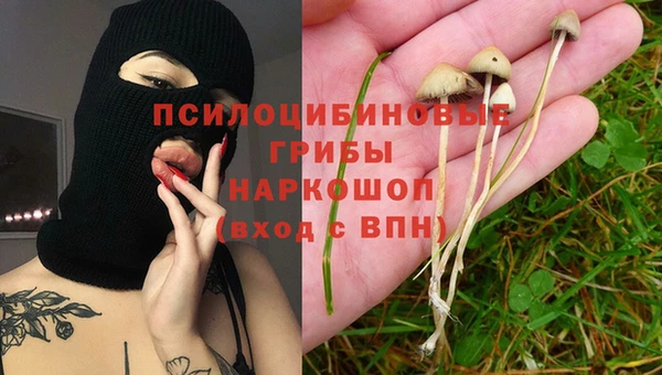 метадон Новозыбков
