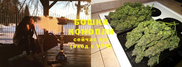 шишки Новокубанск