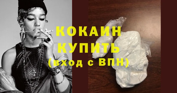 шишки Новокубанск