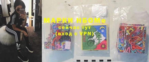 стаф Нефтегорск
