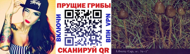 Псилоцибиновые грибы MAGIC MUSHROOMS  Карпинск 