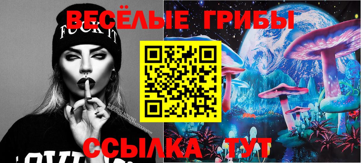 Галлюциногенные грибы Psilocybe Карпинск