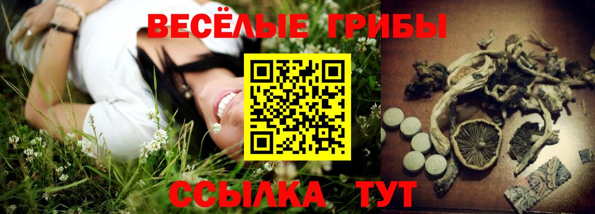 Псилоцибиновые грибы мицелий  Псилоцибиновые грибы GOLDEN TEACHER  Карпинск  Вход с VPN 
