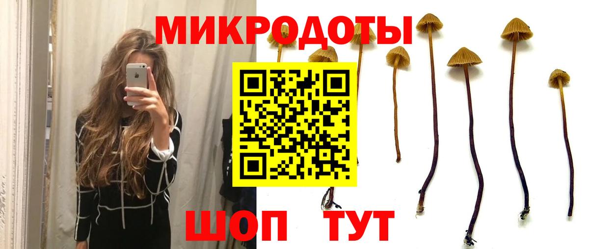 Галлюциногенные грибы Magic Shrooms  Карпинск  Псилоцибиновые грибы Cubensis 