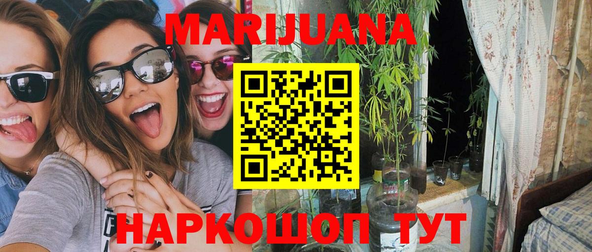 Каннабис план Карпинск